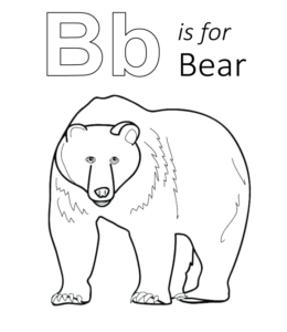 B is for bear coloring page for kids
