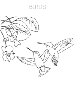 Bird Coloring Page 2 for kids