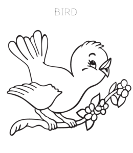 Bird Coloring Page 4 for kids