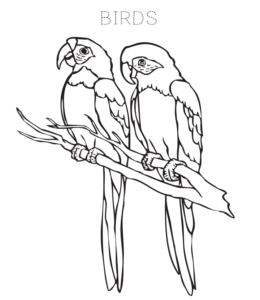 Bird Coloring Page 6 for kids