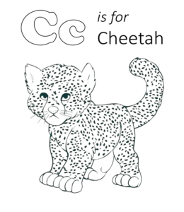 C is for Cheetah coloring page  for kids