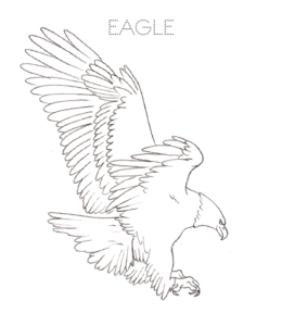 Eagle Coloring Pages | Playing Learning