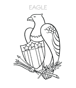 American Eagle with arrows and olive branch coloring page  for kids