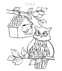 Birdie and Owl Coloring Page for kids