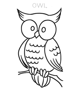 Owl Coloring Clipart for kids