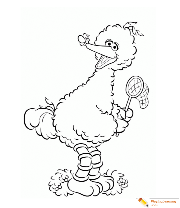 Big Bird Coloring Page - 90+ File SVG PNG DXF EPS Free