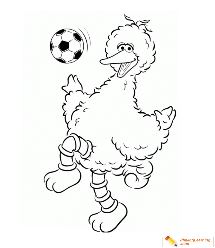 Big Bird Coloring Page - 90+ File SVG PNG DXF EPS Free