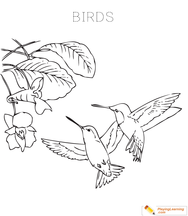 Bird Coloring Page  for kids