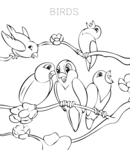 Bird Coloring Page 5 for kids