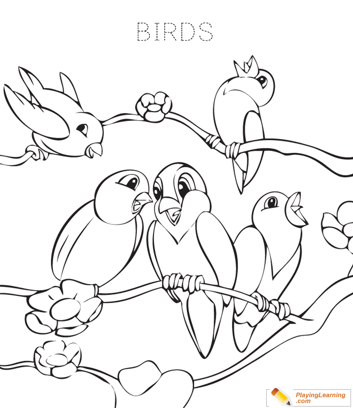 Bird Coloring Page  for kids