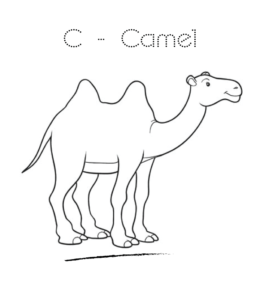 C is for Camel coloring page for kids