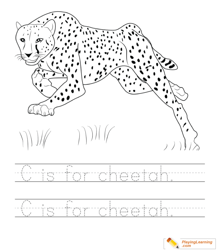 C Is For Cheetah Writing Practice Sheet  for kids