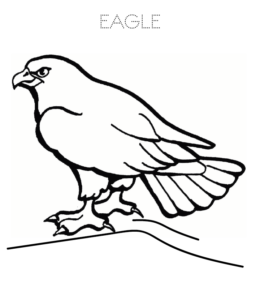 Cartoon Eagle coloring picture  08 for kids
