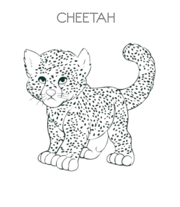Cheetah cub coloring page  for kids