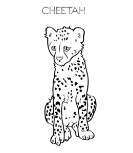 Sitting Cheetah coloring page  for kids