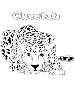 Crouching Cheetah coloring page  for kids