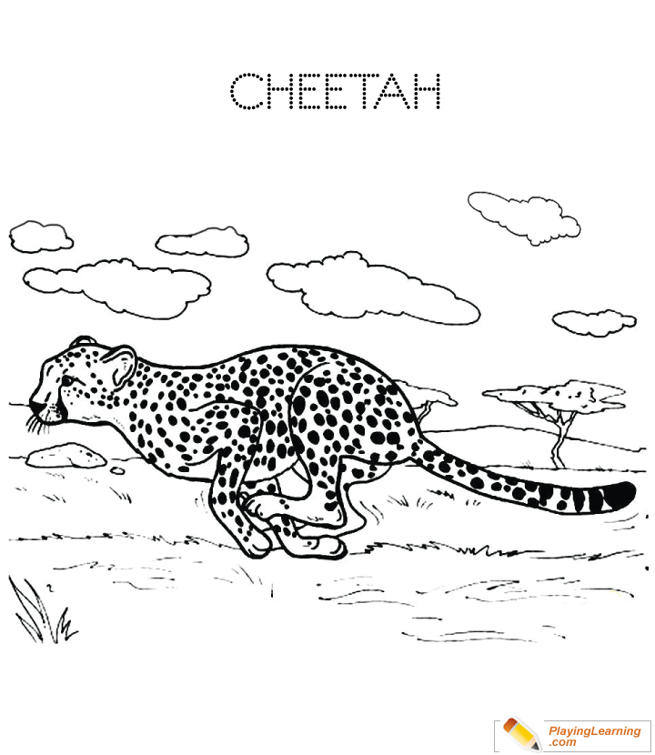 Cheetah Coloring Page  for kids