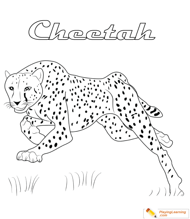 printable cheetah coloring pages