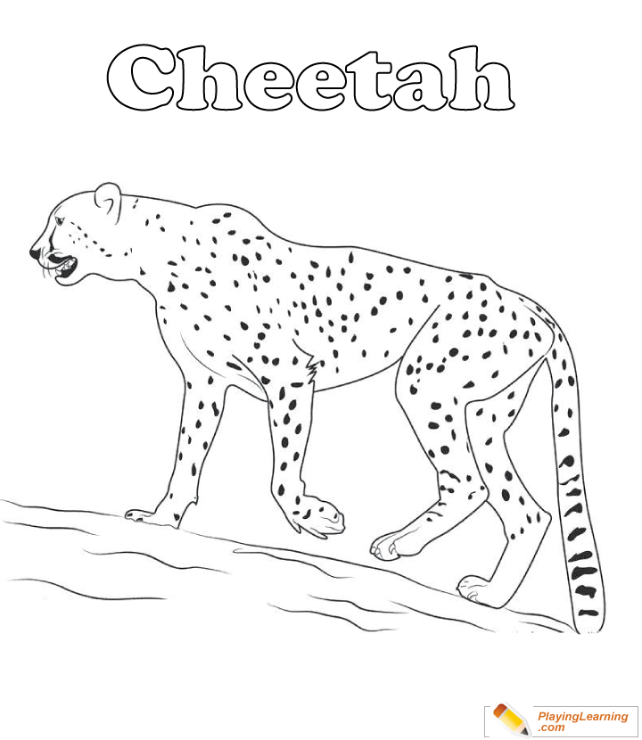 cheetah coloring pages for kids