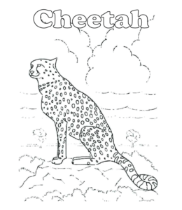 Cheetah sitting in a field coloring page  for kids