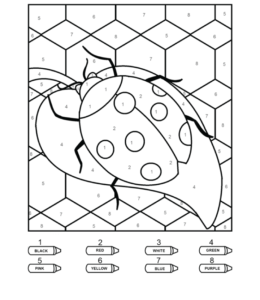 Coloring by numbers from 1 to 10 - LadyBug for kids