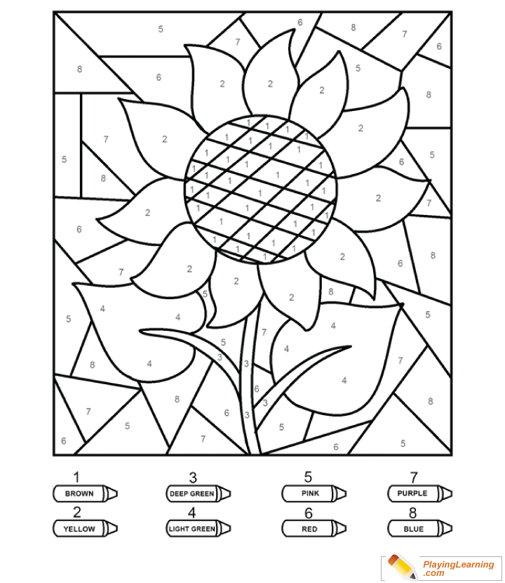 Coloring By Numbers  To  Sun Flower  for kids