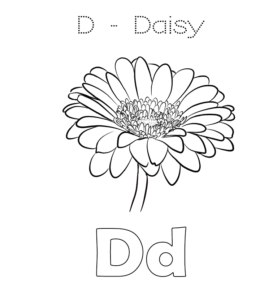 D is for Daisy coloring page for kids