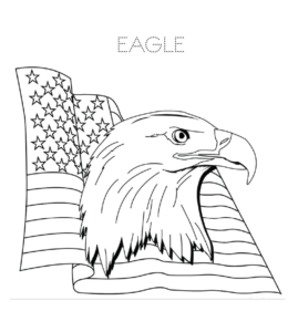 American Bald Eagle head and flag coloring page  for kids
