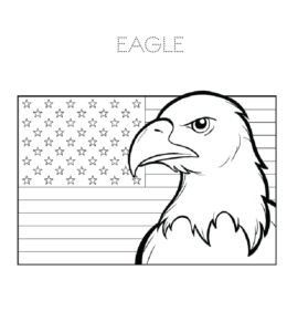 American Bald Eagle head and flag coloring page  for kids