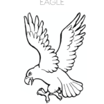 Eagle coloring image