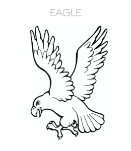 Eagle flying coloring picture  for kids