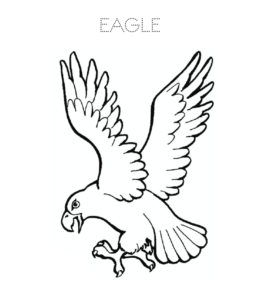 Eagle Coloring Pages Playing Learning