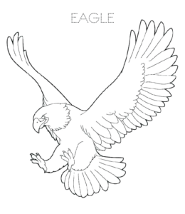 Eagle descending coloring picture  for kids