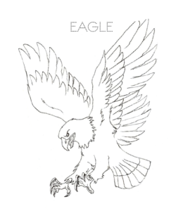 Eagle flying coloring image  for kids