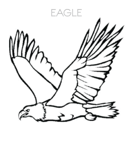 Eagle soaring coloring page  for kids