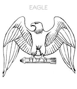 Eagle coloring image  for kids