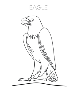 Stading Eagle coloring image  for kids