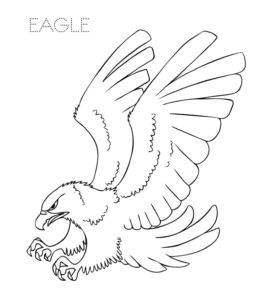 Hunting Eagle coloring page  for kids