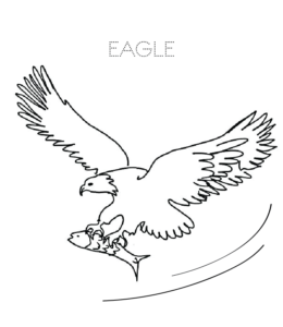 Eagle hunting fish coloring page  for kids