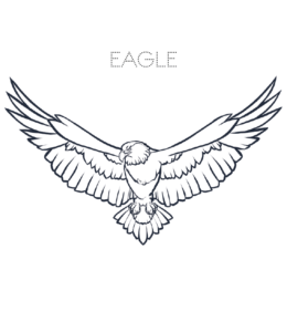 Eagle spreading wings coloring page  for kids