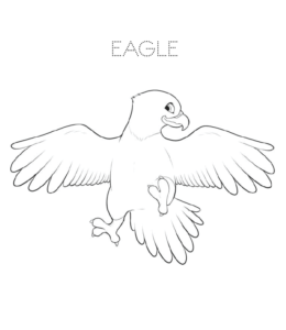 Baby Eagle logo coloring page  for kids