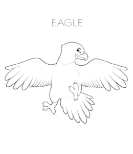 eagle coloring pages  playing learning