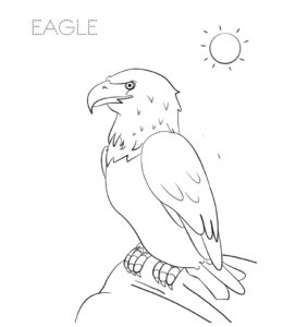 Eagle standing on a cliff coloring picture  for kids