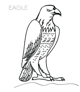 Eagle standing coloring picture  for kids