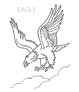 Eagle hunting coloring picture  for kids