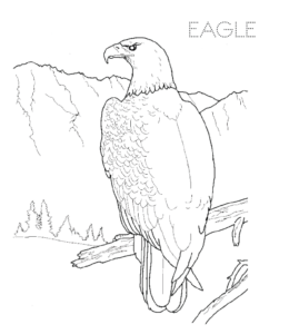 Eagle overlooking mountain coloring page  for kids