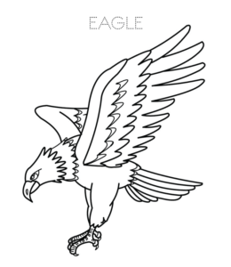 Descending Eagle coloring page  for kids