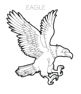 Powerful Eagle coloring image  for kids