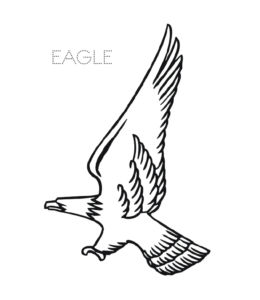 Simple Eagle coloring image  for kids