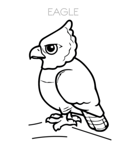 Harpy Eagle coloring picture  for kids
